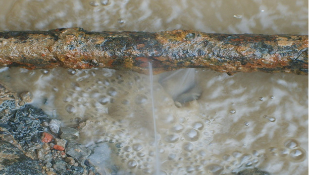 1658555816560464.jpg 6aee1c3c-de0b-4301-b1d8-8c0eca15a358.jpg