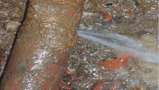 1658555843579440.jpg 01b0878c-6042-4f65-8553-48a578e89bd8.jpg