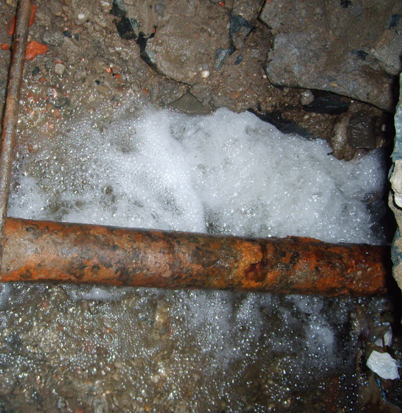 1658555866814294.jpg 16f0e0c3-984b-4bad-b6ce-4458ba766193.jpg